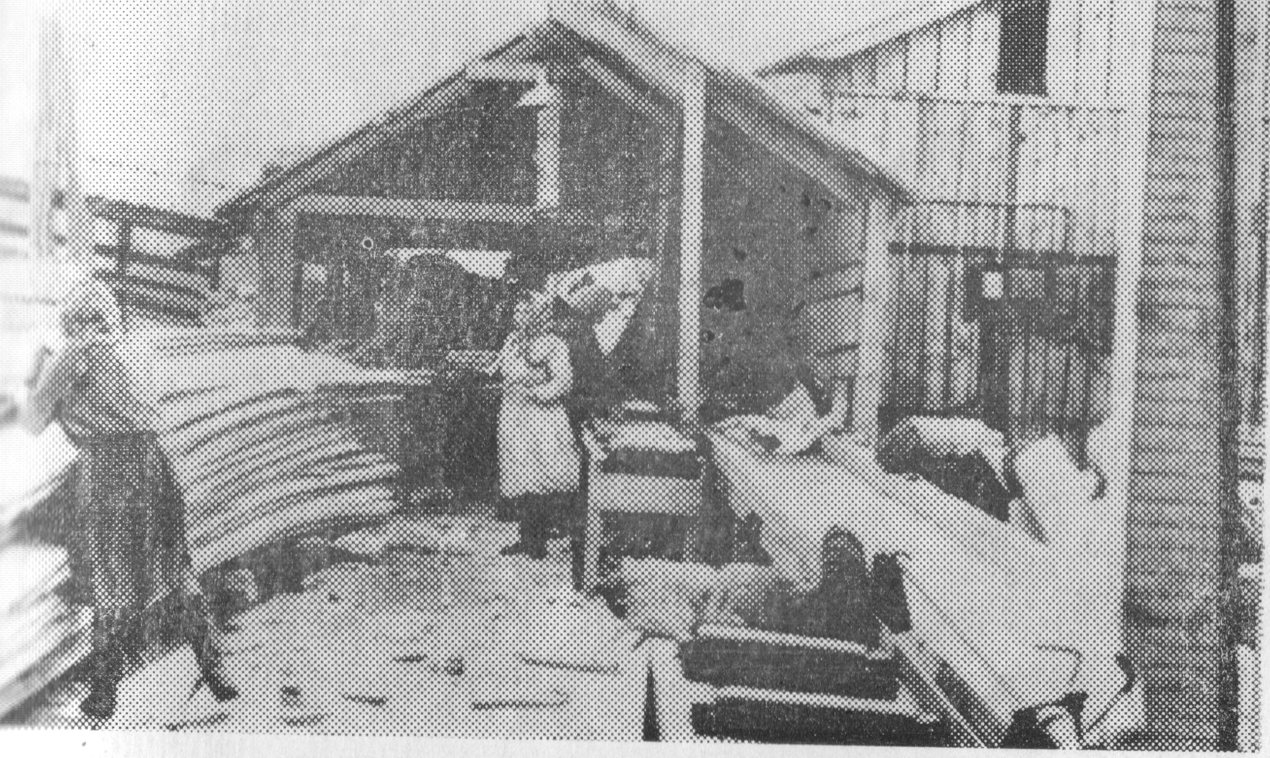 1955 г. Производство черновых заготовок мебели на участке цеха деревообработки лесозавода.